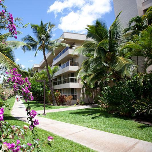 ויילי Luxury Condo At Kameole Beach T106 מראה חיצוני תמונה