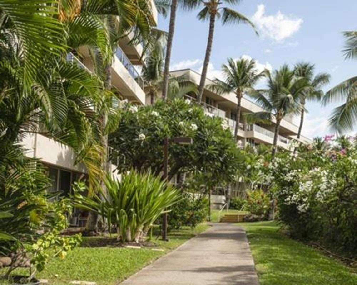 ויילי Luxury Condo At Kameole Beach T106 מראה חיצוני תמונה